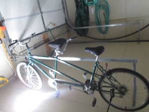 lot 314 image: Crestline 2 seat bicycle...