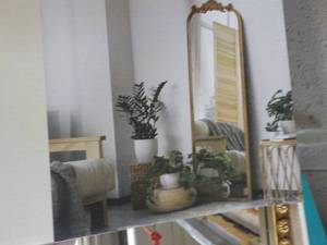 lot 203 image: Filigree Full Length Mirror 22 x 64L