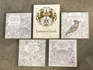 lot 206 image: Variety of Adult Coloring Books including Beautiful Birds, Enchanted Forest, Tropical World and More
