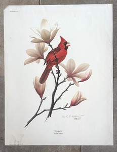 lot 387 image: Cardinal Bird Botanical Art Print by Don Balke