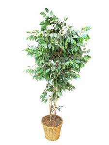 lot 110 image: 80-inch Indoor Faux Tree Plant