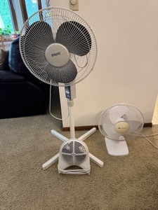 lot 50 image: Set of 3 Table and Floor Fans with Adjustable Settings