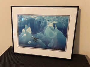 lot 134 image: Framed Signed Print Blue Iceberg with Chinstrap Penguins by Mark J. Thomas