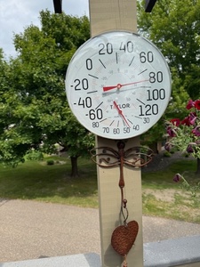 lot 192 image: Taylor Wall-Mount Outdoor Thermometer with Decorative Metal Dragonfly Hook