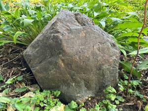 lot 1005 image: Large Natural Landscaping Rock for Garden Decor