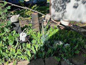 lot 1023 image: Vintage Garden Decor Collection Watering Cans & Planters