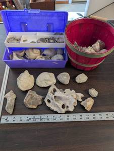 lot 348 image: Collection of Fossil and Mineral Rocks with Storage Bin and Red Basket