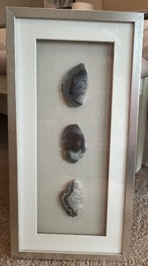 lot 104 image: Framed Trio of Agate Stone Slices Wall Art