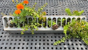 lot 31 image: Galvanized Metal Trough Planter with Succulents and Flowers
