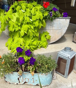 lot 36 image: Galvanized Metal Planter Set with Decorative Lantern
