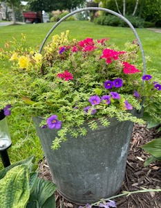 lot 39 image: Vintage Galvanized Metal Bucket Planter with Flowers