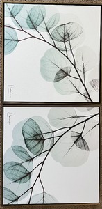 lot 121 image: Set of 2 A. Koetsier Framed Botanical Art Prints