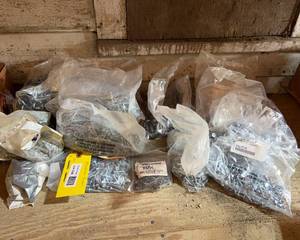 lot 336 image: Screws Assortment