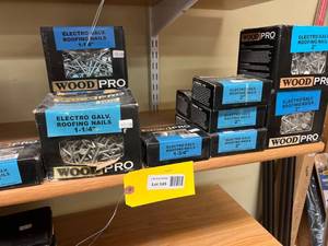 lot 145 image: WoodPro Electro Galvanized Roofing Nails Assorted Sizes