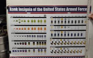 lot 27 image: Rank Insignia of the United States Armed Forces Poster - 24 High