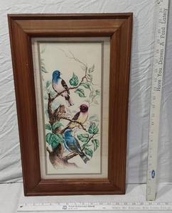 lot 96 image: Framed Bird Illustration approx. 13x22