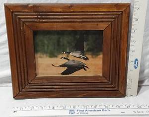 lot 120 image: Framed Photograph of Two Geese in Flight approx 11 x 9.5