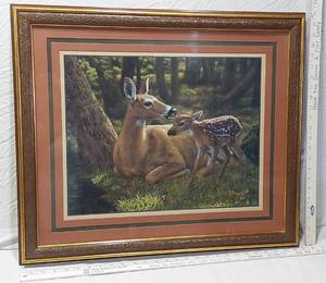 lot 133 image: Framed Wildlife Doe and Fawn Art Print by CS Forest