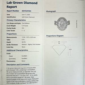 NEW! 6.52 Carat Oval Diamond Pavé Halo Split Shank Ring in 14k White Gold w/ Report *VIDEO*