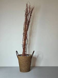 lot 67 image: Decorative Twigs in Woven Basket with String Lights (untested)