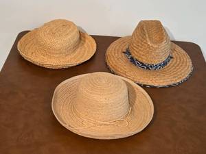 lot 168 image: Set of 3 Straw Sun Hats Assorted Styles Broner and More