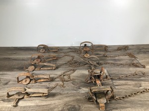 lot 17 image: Lot of 10 Animal Traps - Looks like most of them are Victor Traps