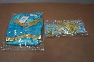lot 84 image: Kids Princess Costume