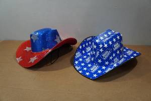 lot 155 image: Western Party Hats