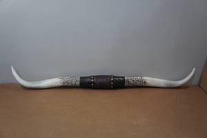 lot 194 image: Resin Texas Long Horns