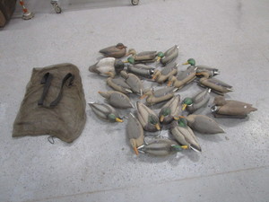lot 206 image: Bag of Duck Decoys