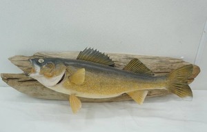 Walleye Mount 25"/35"