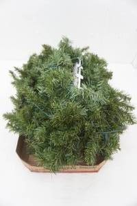 lot 230 image: Lighted Garland-Works