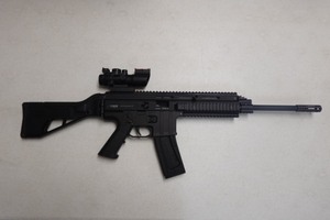 Mauser M15, .22LR