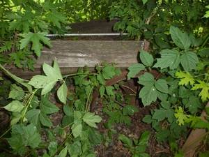 lot 109 image: Old wagon steel frame is good, wood is toast