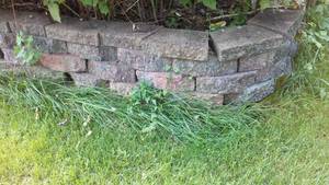 lot 791 image: Cabin Teardown  Flower Bed Bricks 13 X 15 Ft,