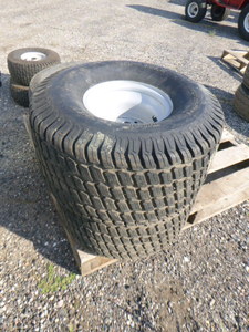 lot 16 image: 2 Carlisle Turfmaster Tires on Rims