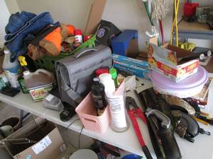 lot 43 image: Large lot of lawn care items, 50 x ...