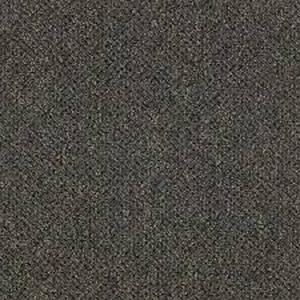 lot 35 image: 53 Sq Ft Mannington Traverse Ochre Owl Carpet Tile