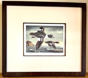 lot 10 image: Framed Limited Edition R. Hautman Signed Duck Print 8262000