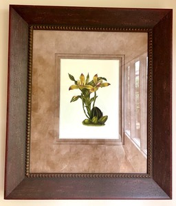 lot 124 image: Framed Botanical Print with Ornate Wooden Frame
