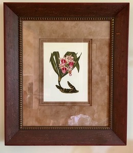 lot 125 image: Framed Botanical Orchid Print with Ornate Wood Frame