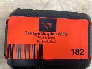 lot 182 image: BAUER 20V 5 Ah High-Capacity Lithium-Ion Battery (08142568)