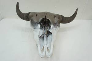 Bull Skull