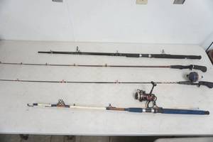 lot 366 image: Fishing Poles (4ct)