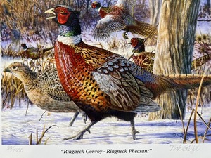 lot 19 image: Nick Reitzel Signed Limited Edition Print Ringneck Convoy - Ringneck Pheasant 502500 with Certificate