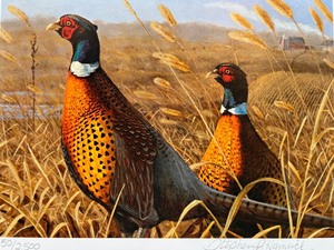lot 21 image: Minnesota Pheasant Habitat Stamp Print by Stephen P. Hamrick Signed Limited Edition 502500