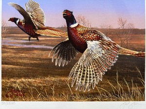 lot 22 image: 2006 Minnesota Pheasant Habitat Stamp Print by Scot Storm, Numbered 502500