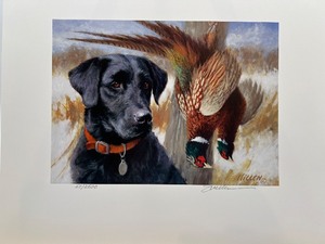 lot 24 image: 2012 Minnesota Pheasant Habitat Stamp Print by Jim Killen, Signed Numbered 502500