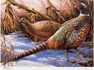 lot 29 image: 1990 Minnesota Pheasant Stamp Print by Theresa Marschel, Numbered and Signed