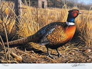 lot 30 image: 1994 Minnesota Pheasant Habitat Stamp Print by James Hautman Signed Limited Edition